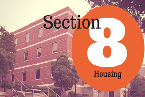 Section 8