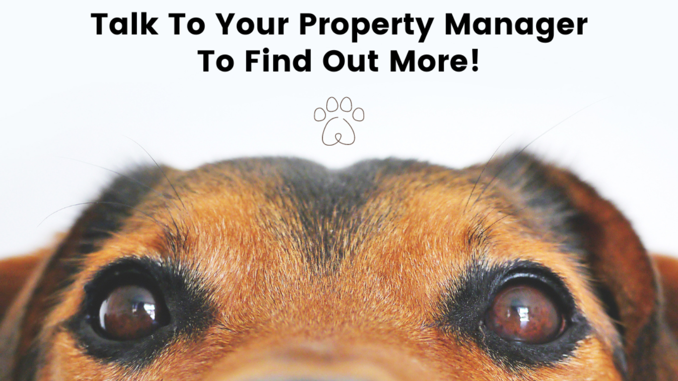 Property Management Blog